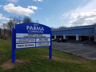 Students and instructors training at Williams Martial Arts in Rochester, NY